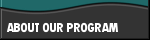 About Our Program Button