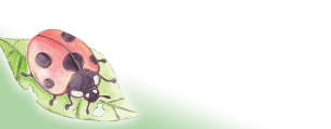 bottom_of_page_gradient_corner_copy
