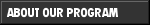 About Our Program Button